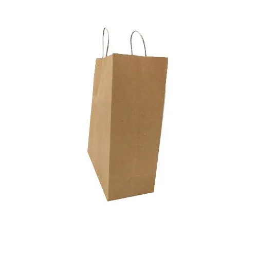 Plain Paper Carry Bags